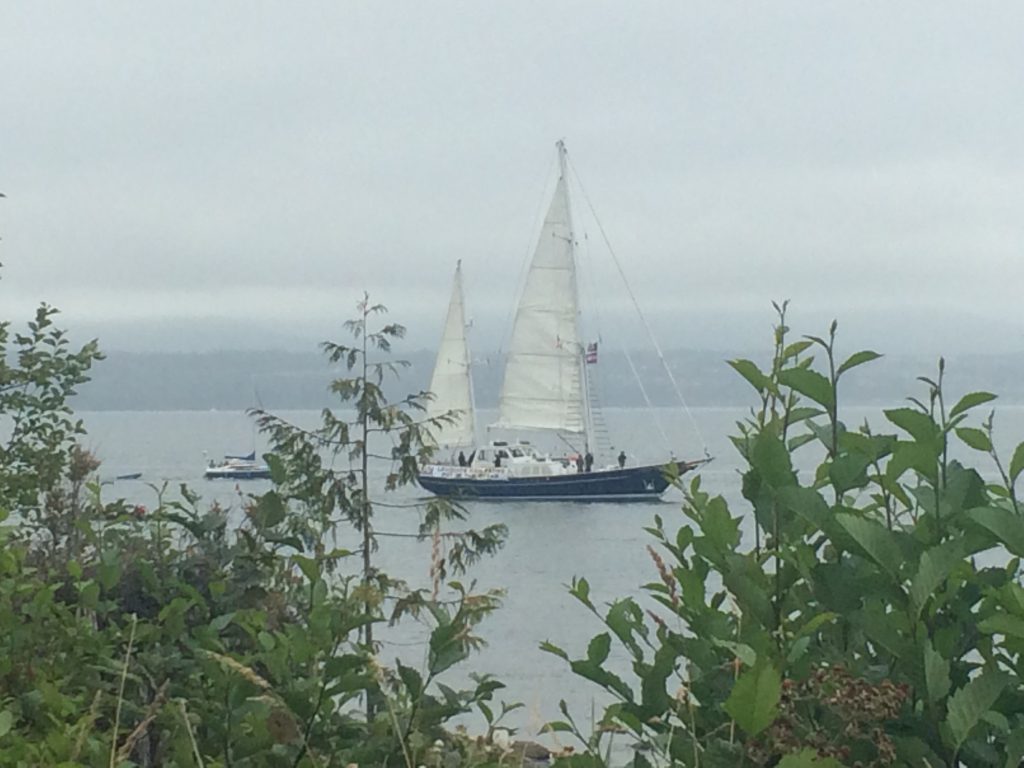 martin sheen sailboat